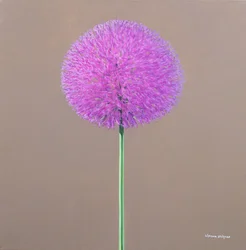 Alium